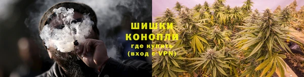 ГАЛЛЮЦИНОГЕННЫЕ ГРИБЫ Осташков