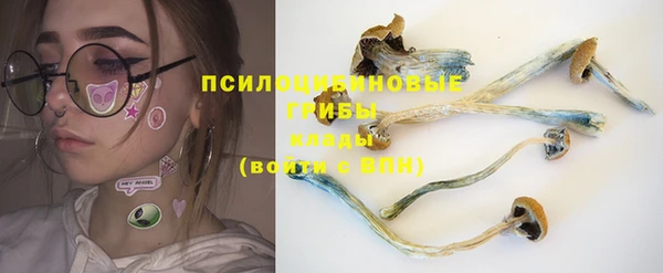 твердый Алзамай