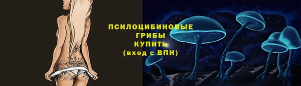 твердый Алзамай