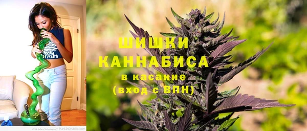 твердый Алзамай